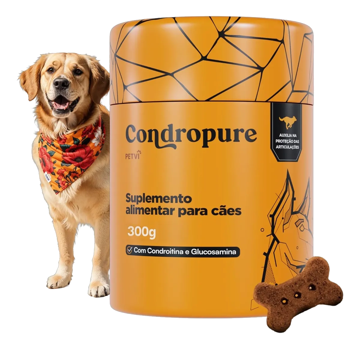 Condropure Pote